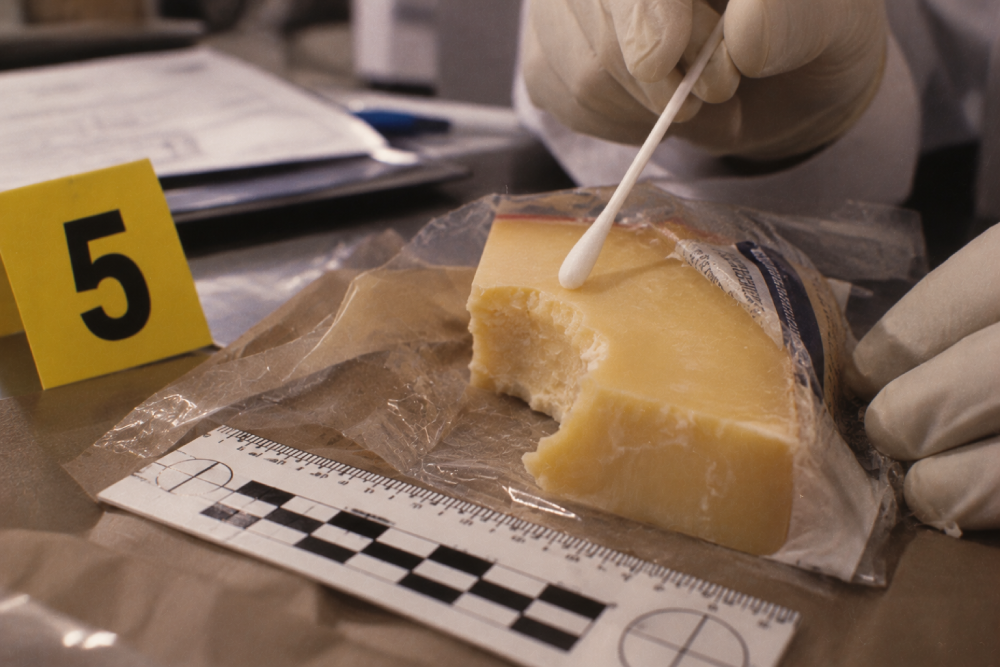 A gloved hand uses a cotton swab to collect evidence from a bitten wedge of cheese, next to an evidence marker labeled “5” and a forensic scale.