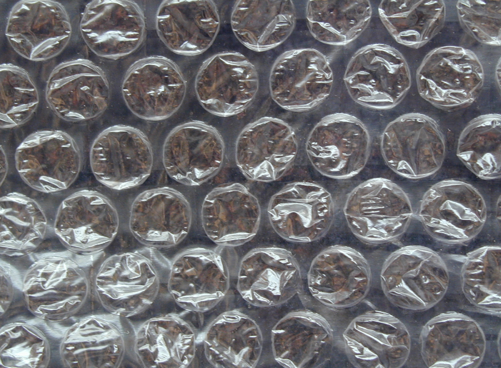 Close-up view of clear plastic bubble wrap.