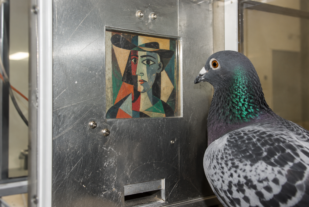 A pigeon looking at a small cubist portrait mounted on a metal panel.