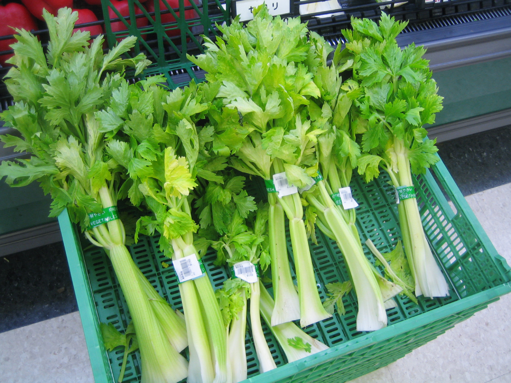 Several bunches of fresh celery in a green plastic crate.