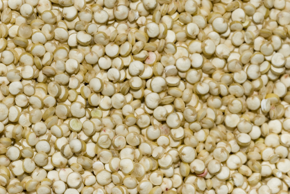 A close-up view of a large pile of raw, light-colored quinoa seeds.