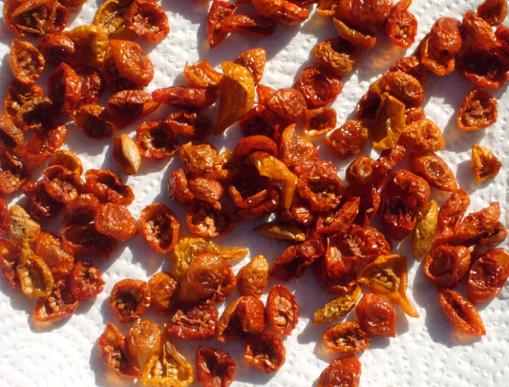 A pile of sun-dried tomatoes spread out on a white paper towel.