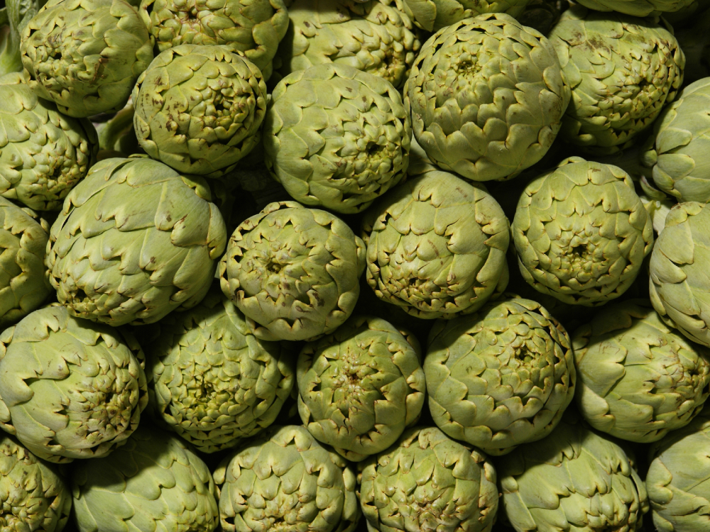 A close-up view of a large cluster of fresh, green globe artichokes.