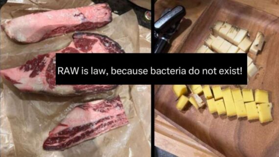 A split-screen image showing raw beef steaks on the left and cubes of cheese on the right, with the text “RAW is law, because bacteria do not exist!” overlaid in the center.