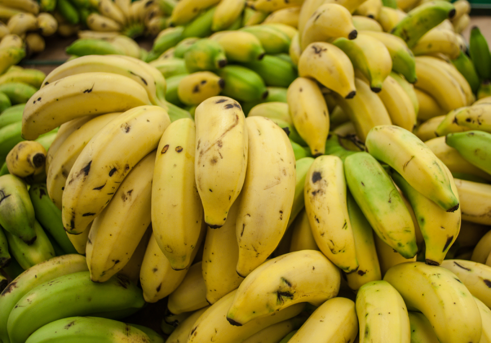 A large pile of bananas at various stages of ripeness, ranging from green to yellow.