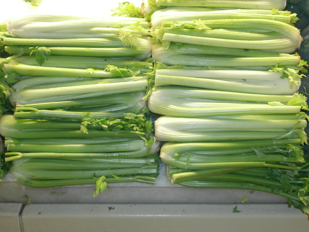 A display of fresh celery stalks arranged in two stacks.