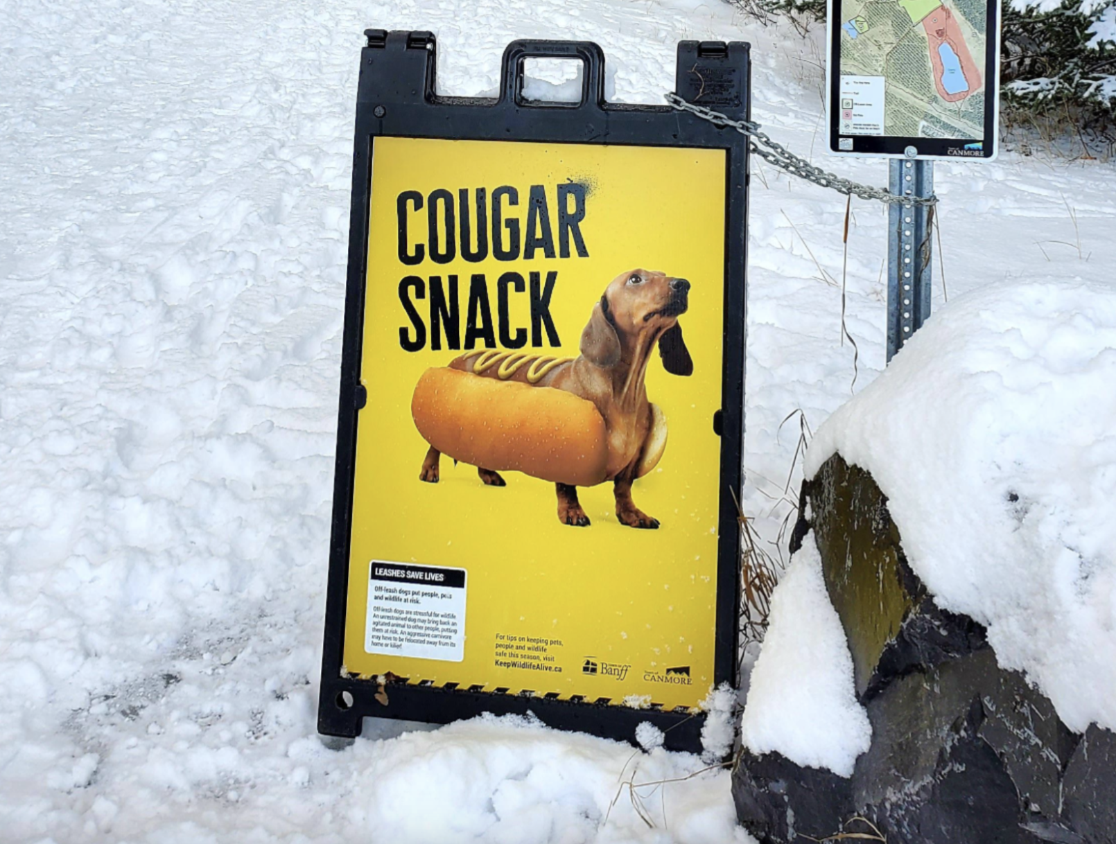 A yellow sign on a snowy path depicts a dachshund inside a hot dog bun with the text “COUGAR SNACK,” cautioning owners to keep dogs on leashes to protect wildlife.