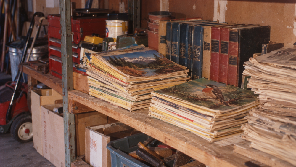 A wooden shelf holds stacks of magazines with nature covers, old hardcover books, and newspapers. Nearby are tools, a toolbox, and bins, suggesting a workshop or garage setting.
