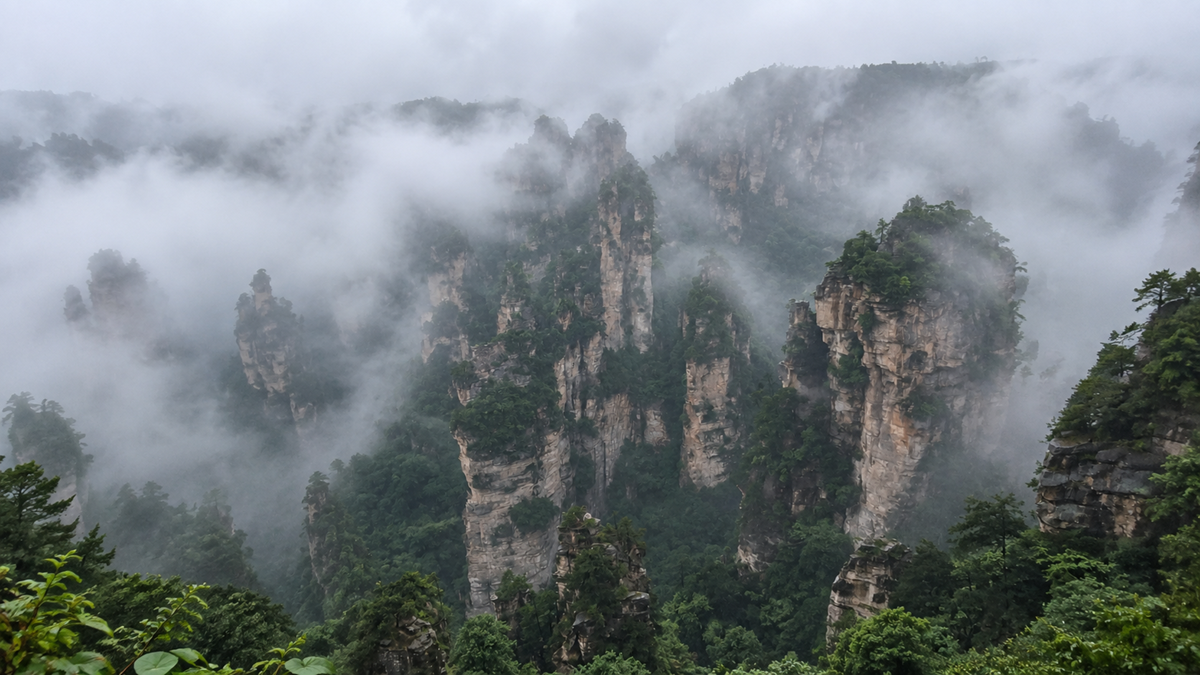 Tall, jagged sandstone pillars covered in trees rise through thick mist in a mountain valley.