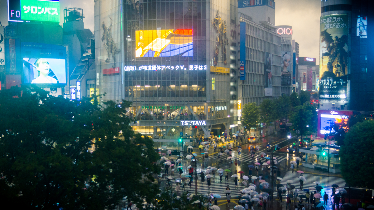A high-angle view of Shibuya Crossing at twilight, with crowds of people carrying umbrellas crossing the street in front of brightly lit commercial buildings and billboards.