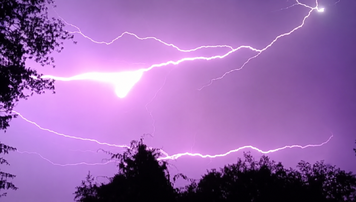 Bright purple lightning bolts streak across a night sky above the silhouettes of tree tops.