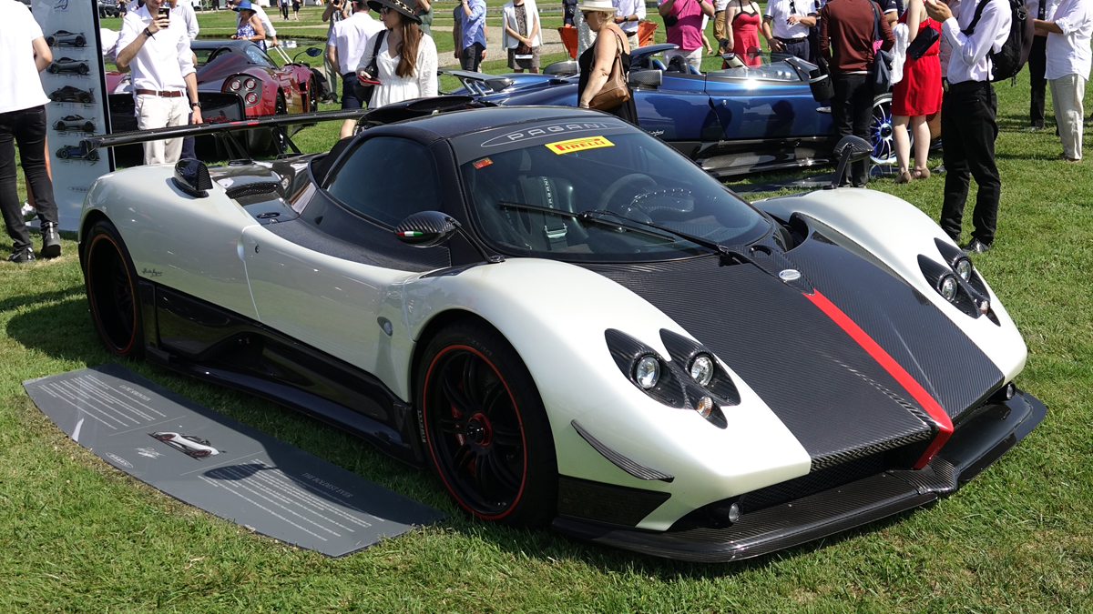 White and black carbon fiber Pagani Zonda supercar parked on a grass field, with an information plaque on the ground in front of it and a crowd of people in the background.