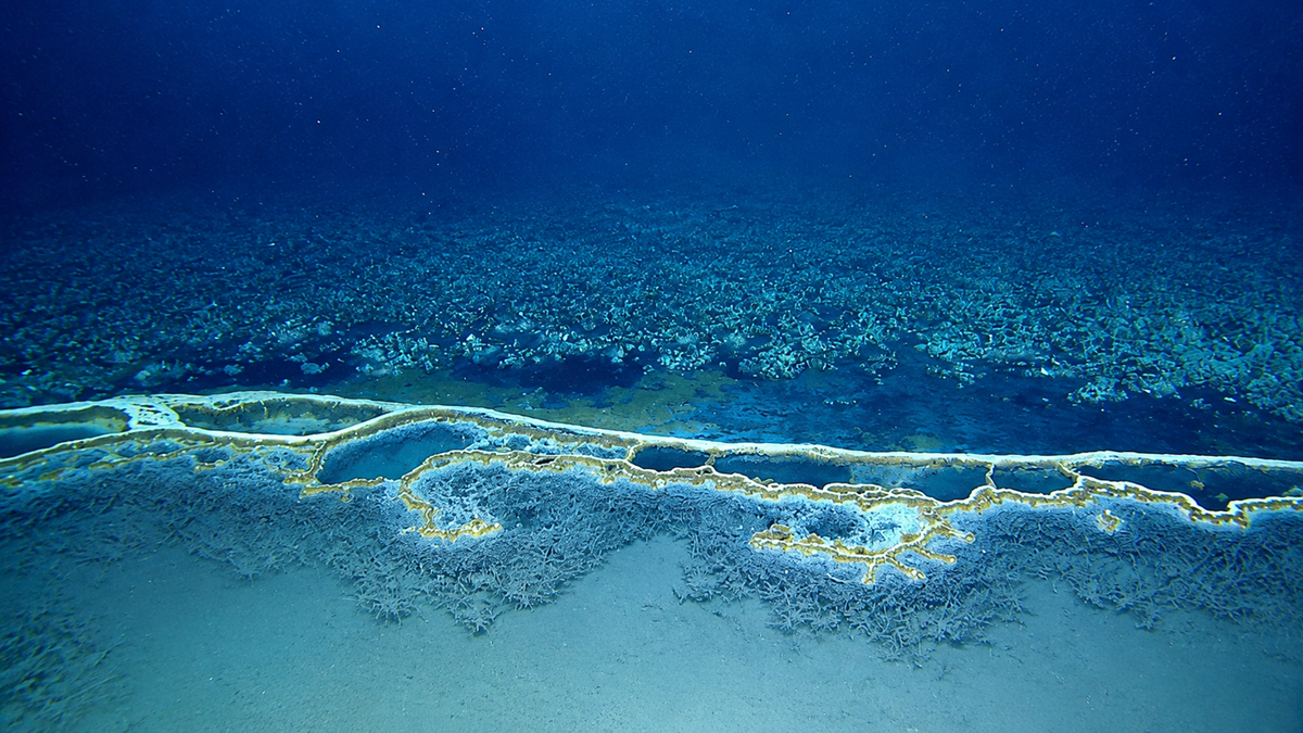 A deep-sea hydrothermal vent field with mineral terraces overlooking a dark, rocky seafloor.