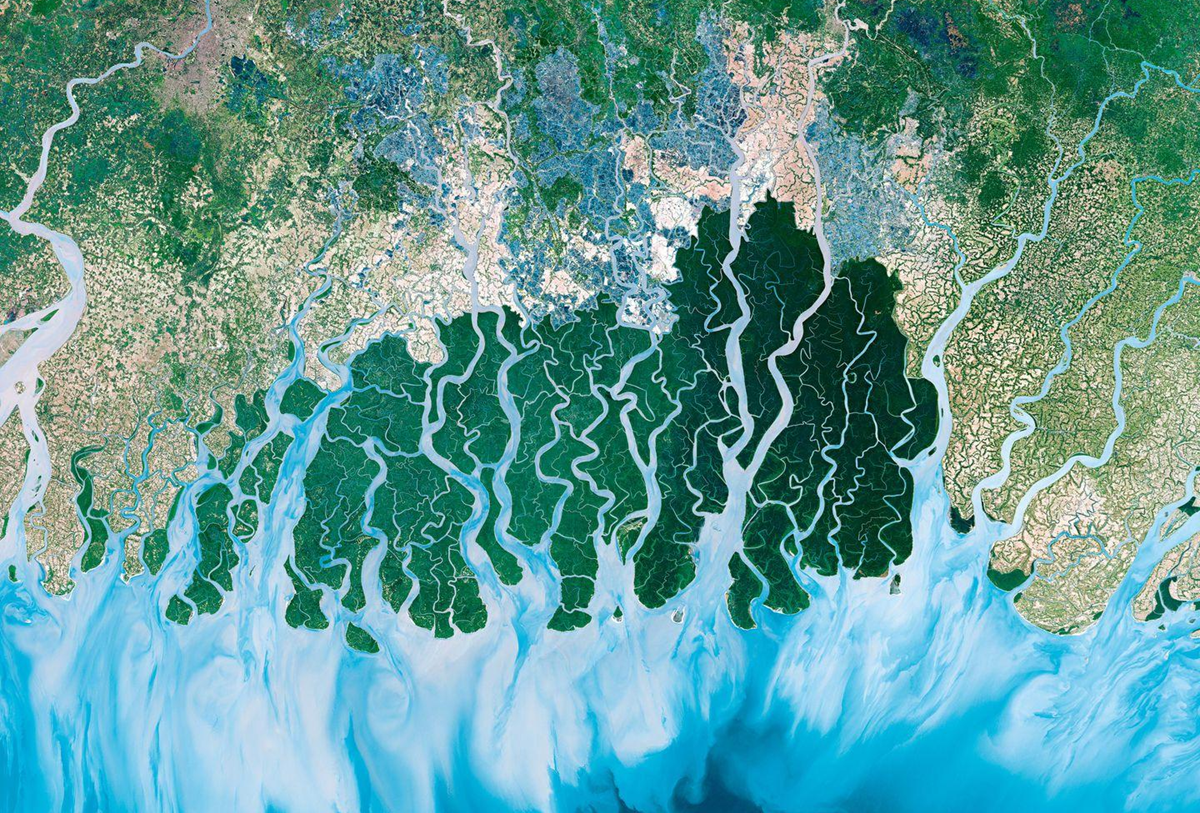 Satellite view of the Sundarbans mangrove forest, showing a dense network of river channels emptying into a large body of water.