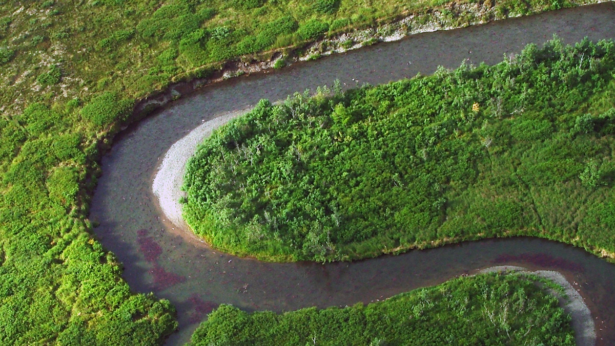 Aerial view of a winding river flowing through a lush green landscape.