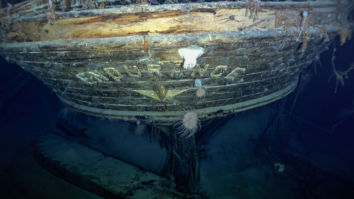 The wooden stern of the shipwrecked Endurance, featuring the name plate and a five-pointed star, resting on the sea floor with sea anemones attached.