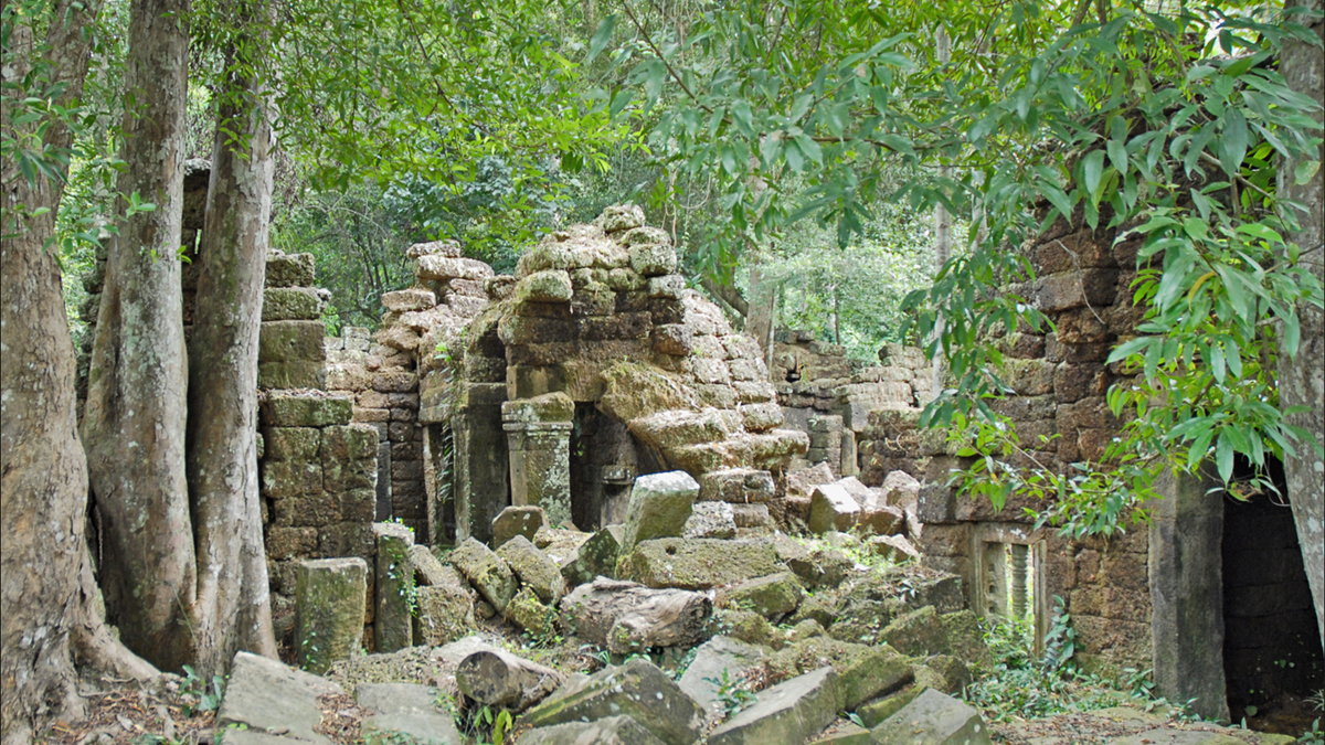 Ancient stone ruins surrounded by lush trees and forest foliage.