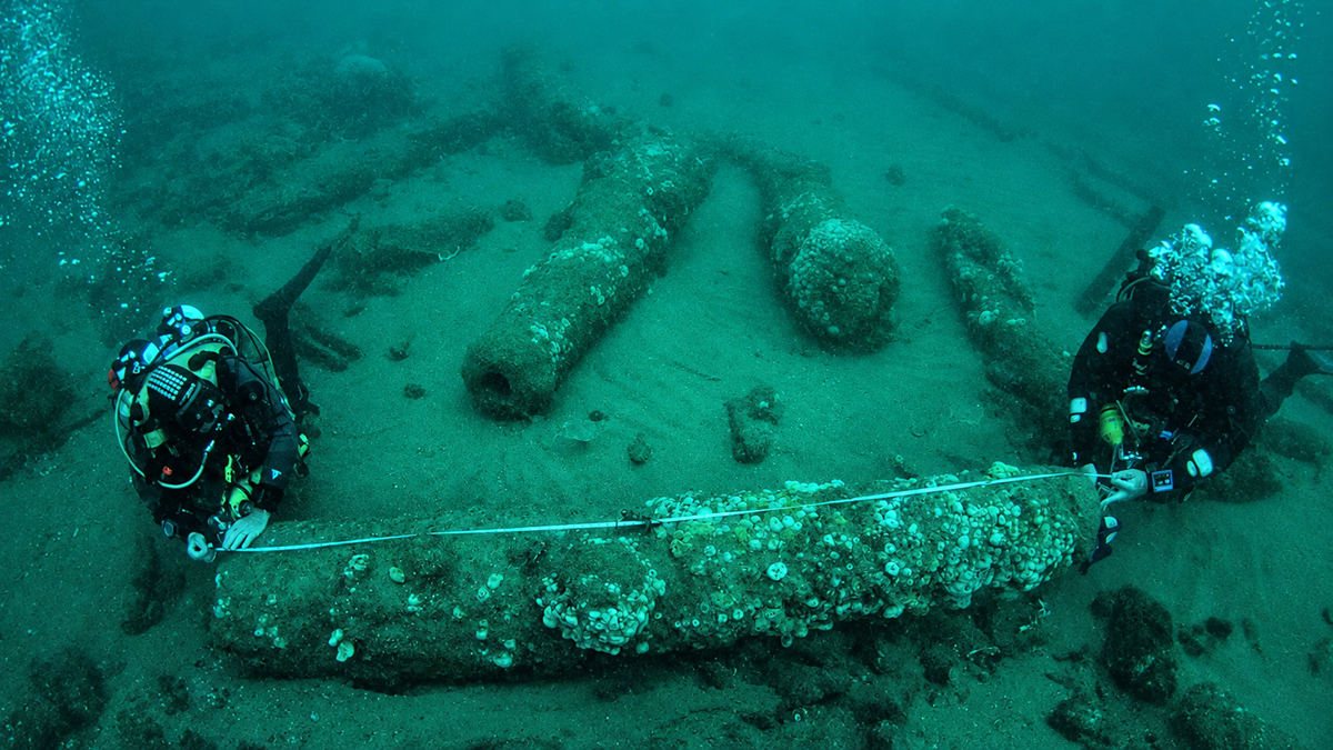 Two scuba divers use a measuring tape to examine large cannons resting on the sandy ocean floor.