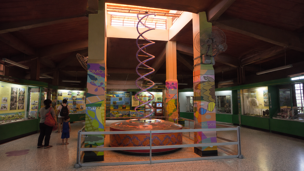 A large, glowing double-helix DNA sculpture stands in the center of a museum exhibit hall surrounded by display cases and visitors.