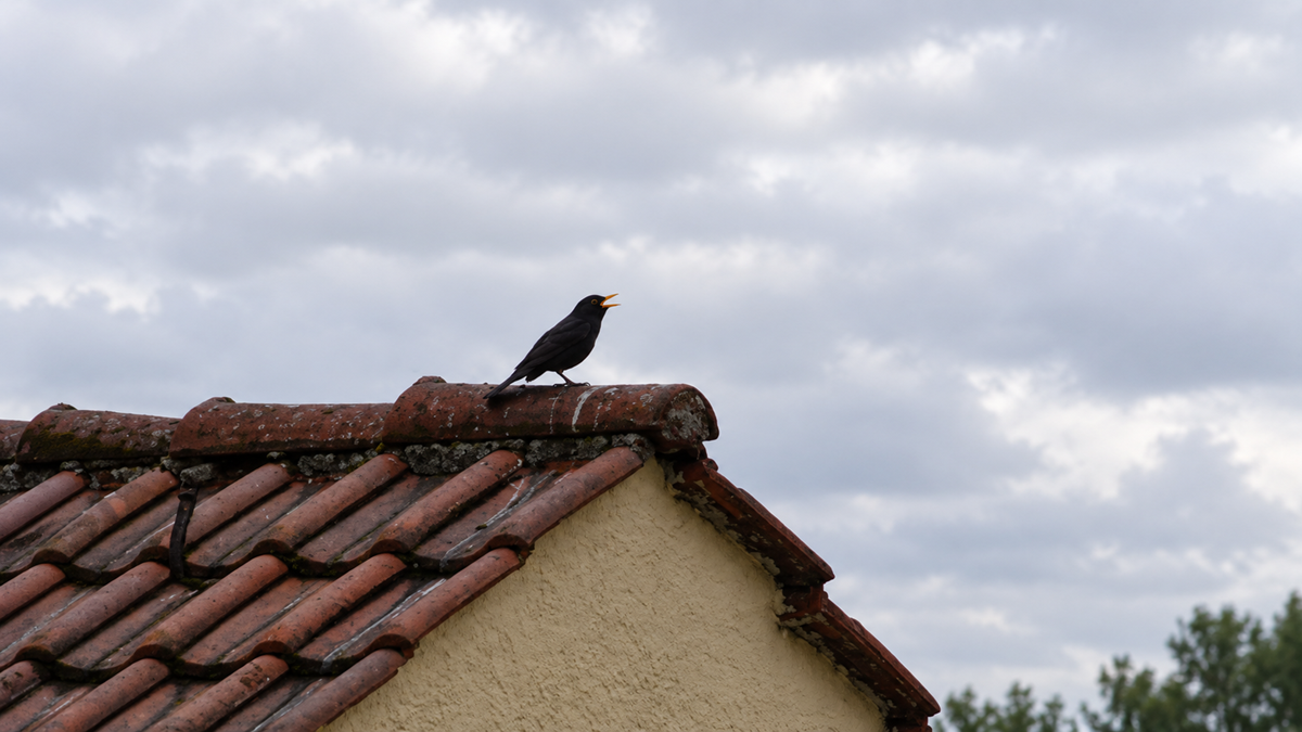 A black bird with a yellow beak perched on the peak of a tiled roof against a cloudy sky.