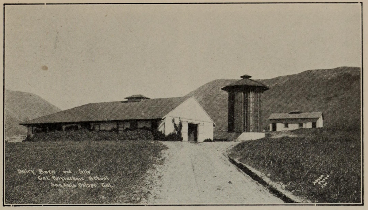 A sepia-toned photograph of a dairy barn and silo at the California Polytechnic School in San Luis Obispo, with the text “Dairy Barn and Silo, Cal. Polytechnic School, San Luis Obispo, Cal.” written in the bottom left corner.