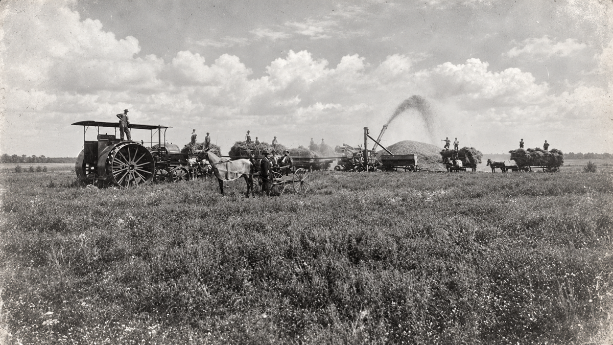 A black-and-white photograph of people using horse-drawn equipment and a steam-powered thresher to harvest hay in a large field.