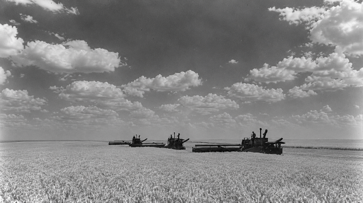 Three combine harvesters move through a vast wheat field under a large, cloudy sky.