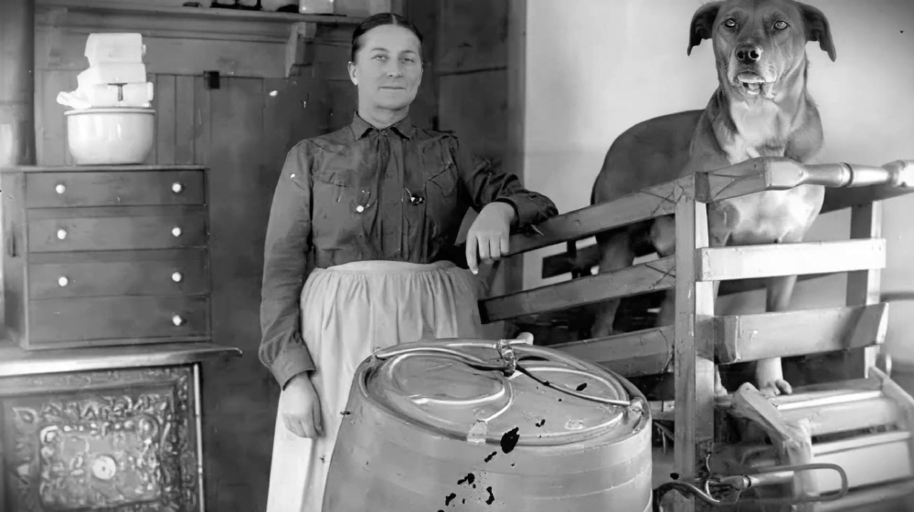 A woman in an apron stands next to a wooden barrel and a large dog standing on a wooden treadmill-like apparatus.