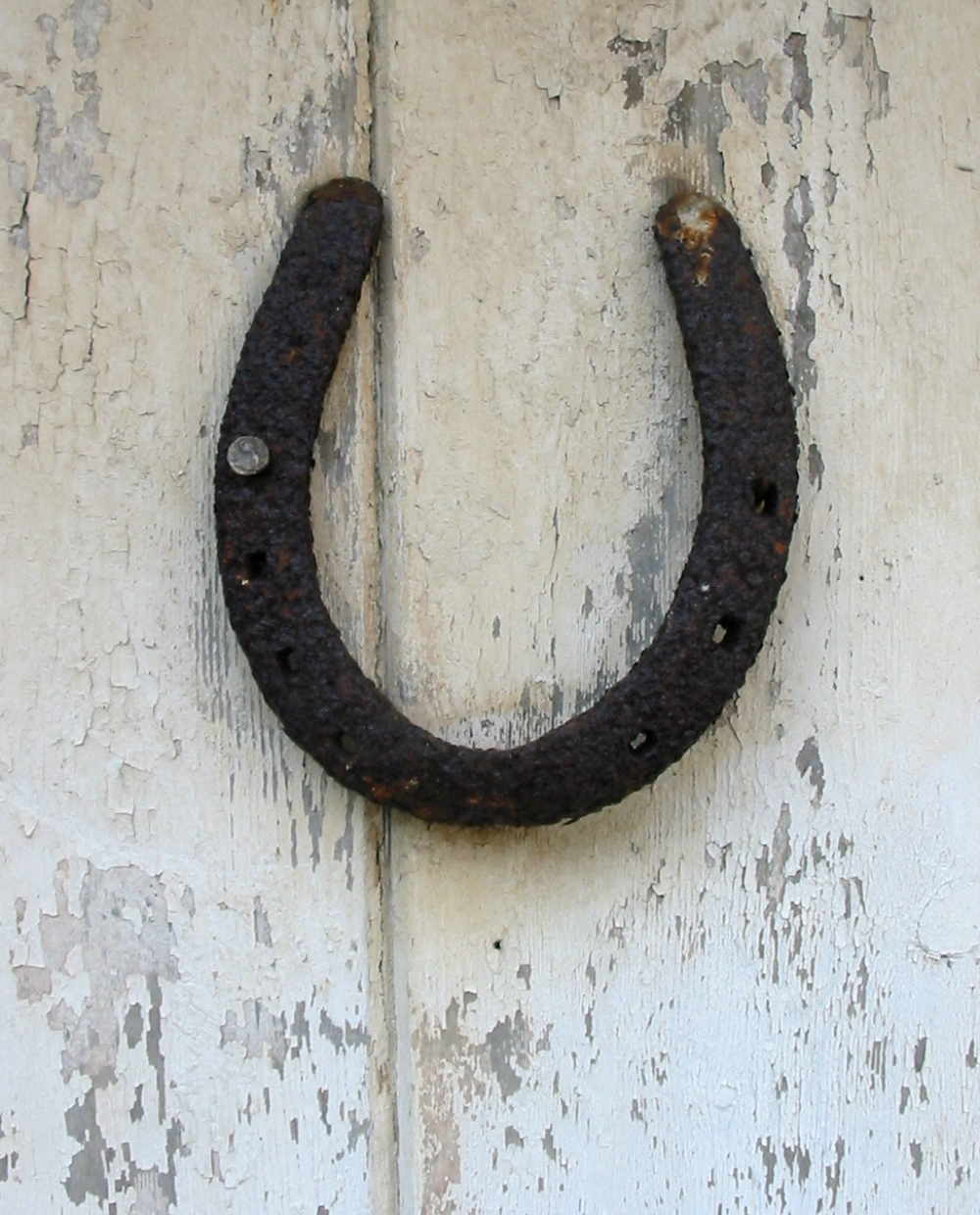 A rusty horseshoe hanging on a weathered, white-painted wooden door.