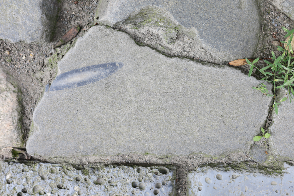 A large grey stone set into a path, featuring a single smooth, dark embedded pebble.