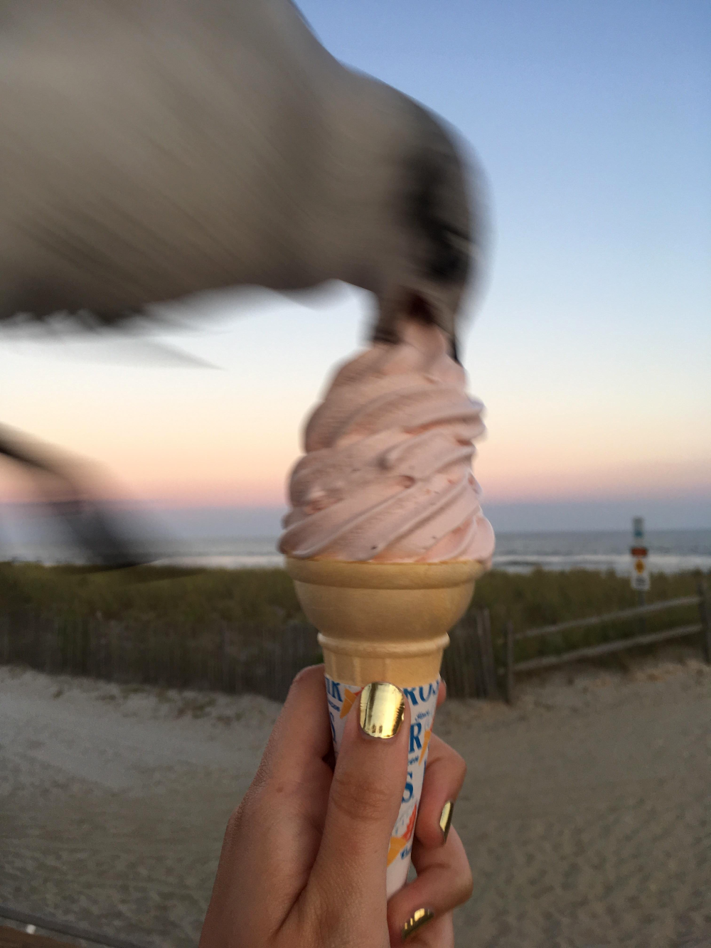 A seagull swoops in to steal a soft-serve ice cream cone held by a person on a beach at dusk.