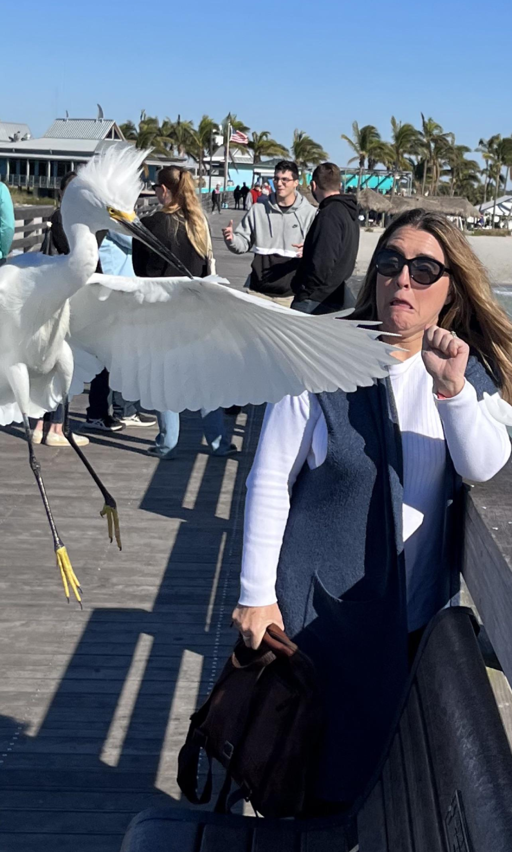 A woman on a pier makes a startled face as a snowy egret flies directly in front of her.