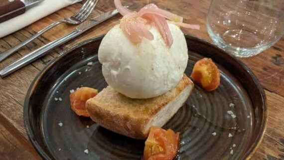 A ball of burrata cheese topped with pickled onions sits on a piece of toasted bread, served on a plate with cherry tomato wedges.