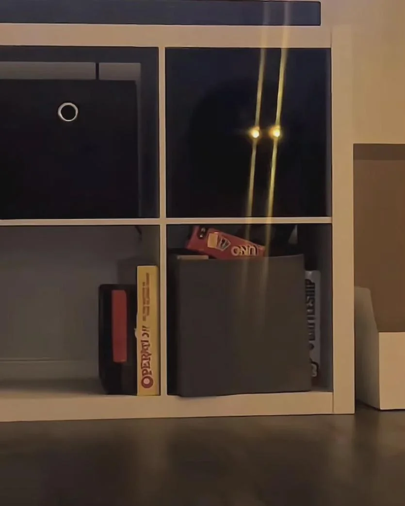 A black cat with glowing eyes peers out from a cubby hole in a white shelving unit containing board games.