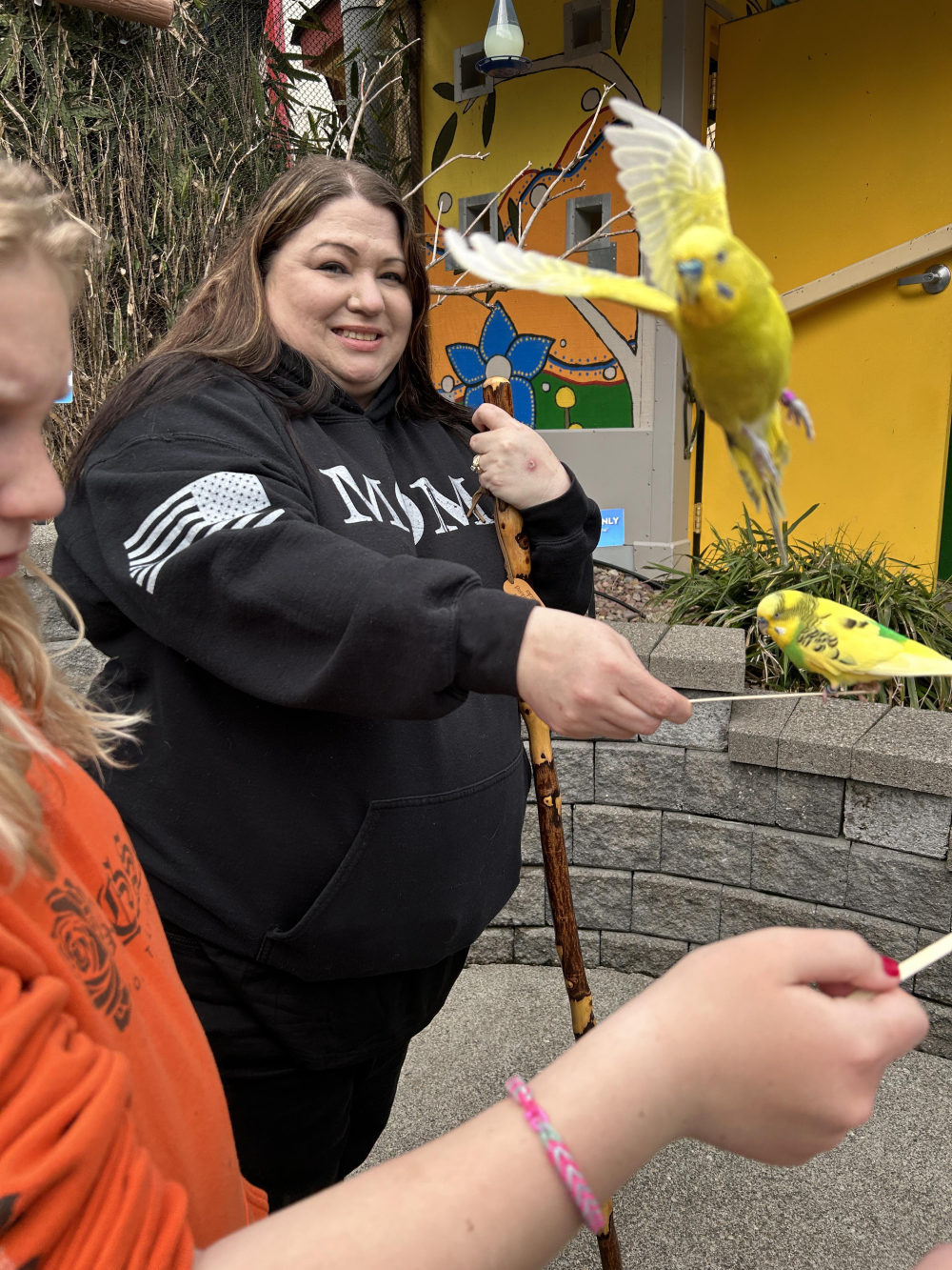 A woman and child hold sticks with perching parakeets in an aviary.