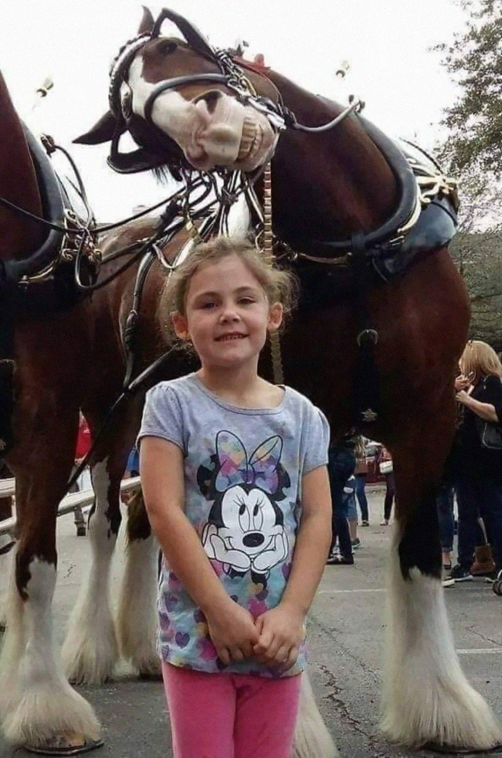 A young girl in a Minnie Mouse t-shirt stands in front of a draft horse that is tilting its head down toward her.