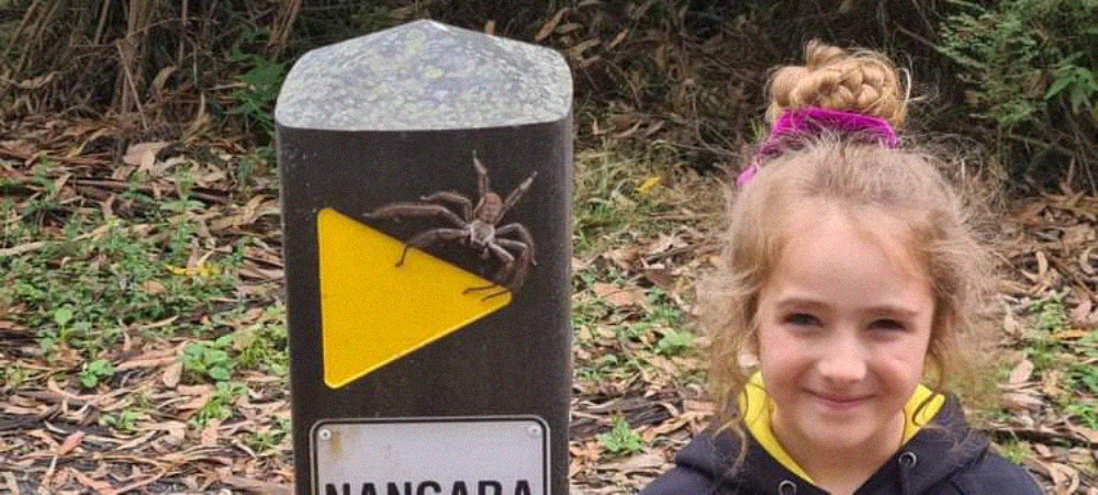 A young girl standing next to a post with a large spider crawling on a yellow triangular sign.