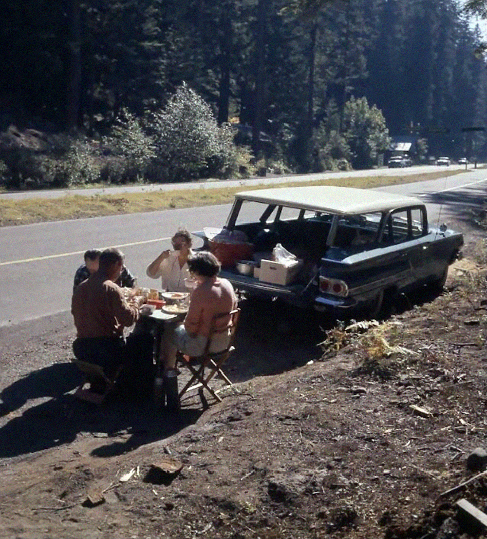 Four people sit at a folding table eating a meal next to a vintage station wagon parked on the shoulder of a forest road.