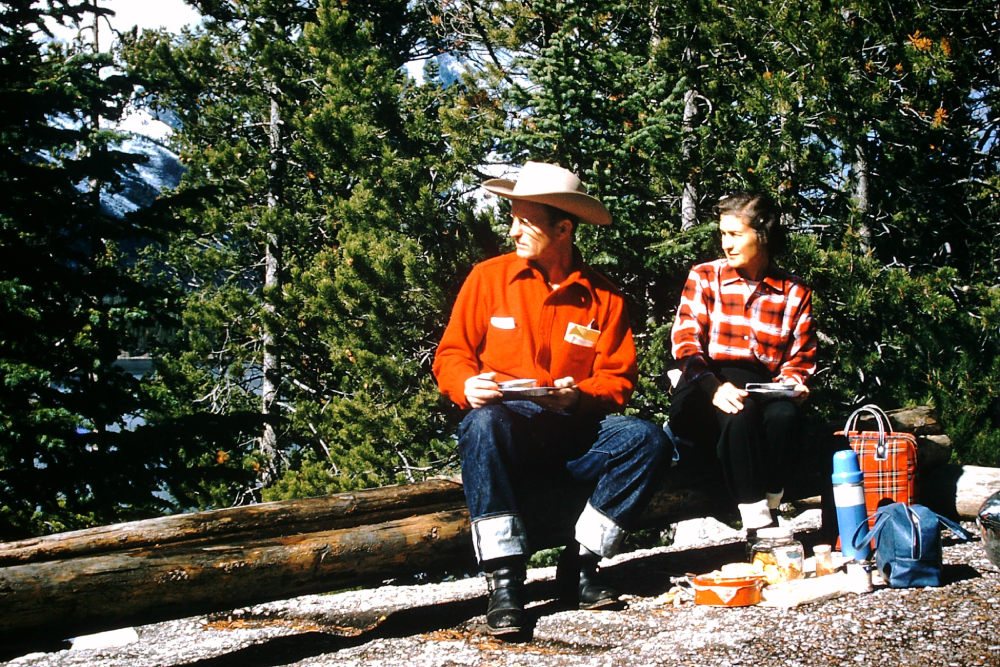 A man in a cowboy hat and red shirt and a woman in a plaid shirt sit on a log in a forest, eating from plates with a picnic basket and thermos nearby.