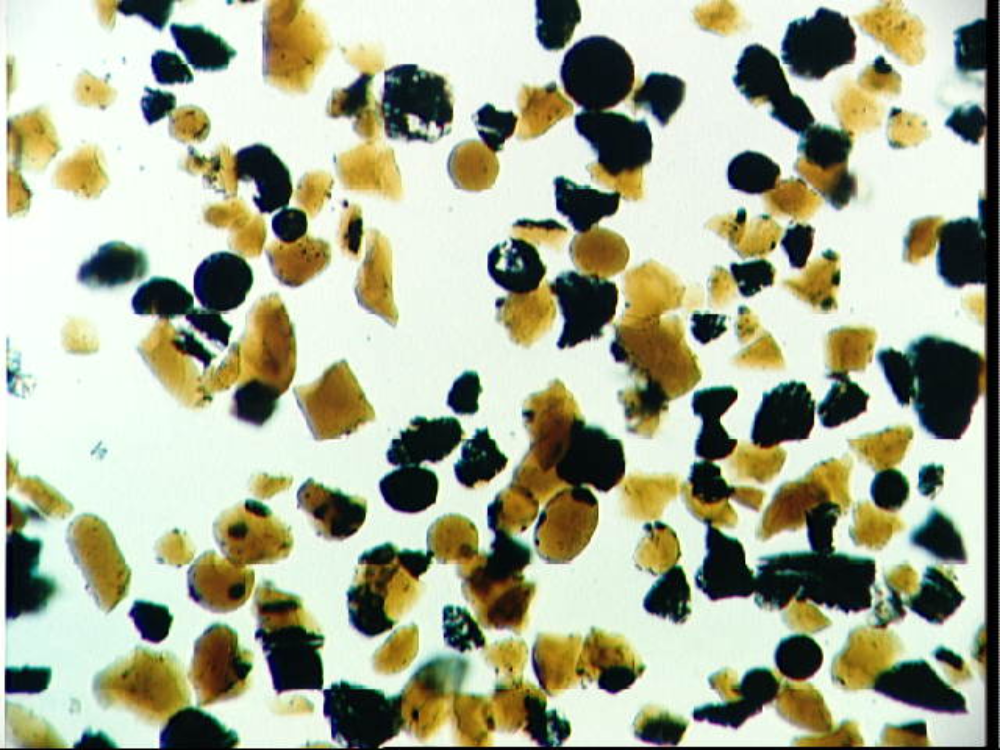 Microscopic view of scattered light brown and dark particles of varying shapes and sizes.