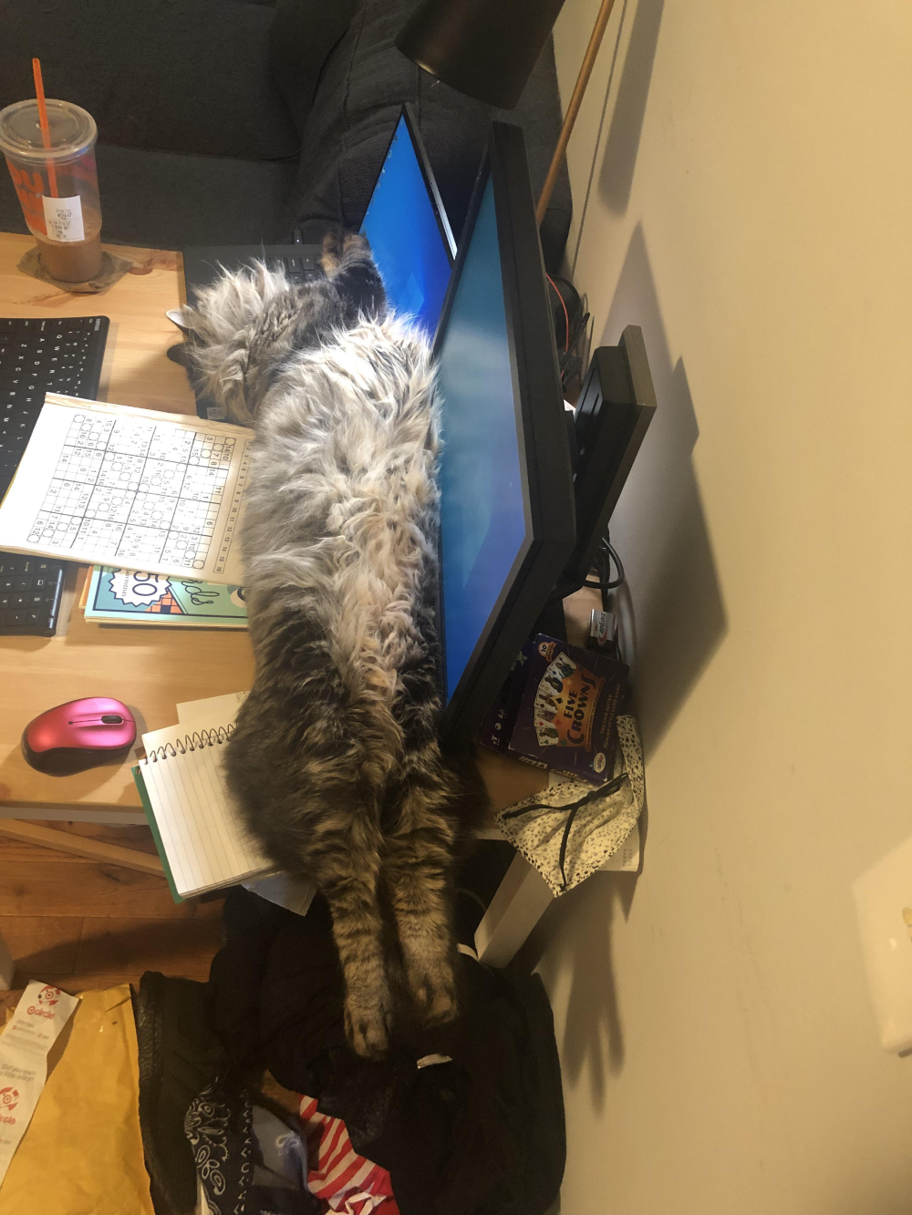 A long-haired cat sleeping stretched out in the narrow space between two computer monitors on a desk.