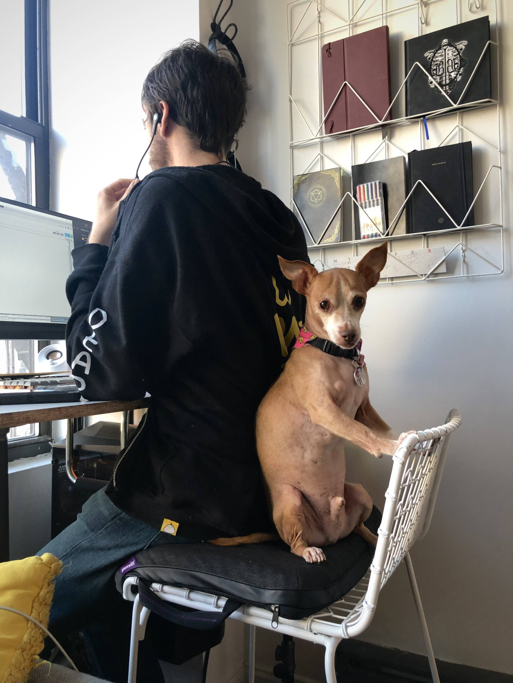 A person wearing a black hoodie sits at a computer, with a small tan dog sitting on the edge of their chair and leaning against their back.