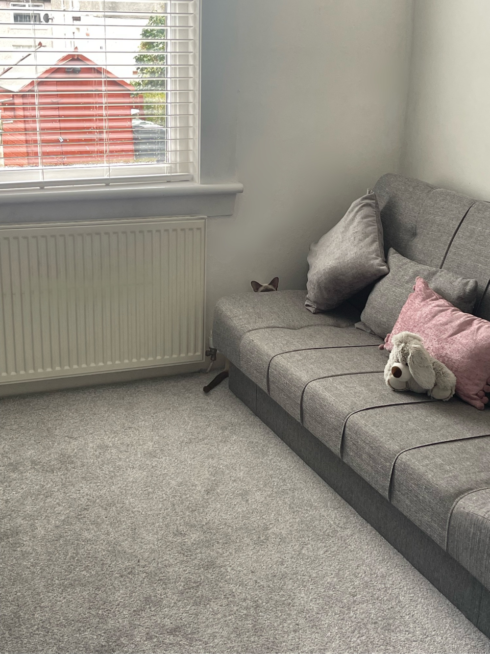 A small cat’s head peeking out from behind a gray sofa next to a radiator.