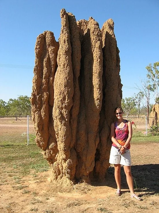 A person standing next to a very tall, textured termite mound in a field.