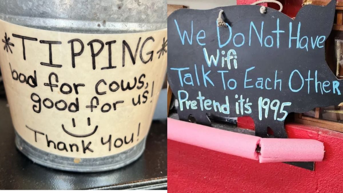Fun Restyraunt Signs 15 Restaurant and Diner Signs That Hit Humorous Home Runs