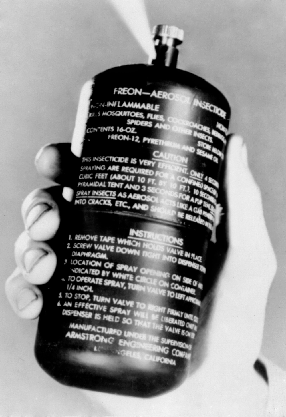 A hand holding a black aerosol can of Freon insecticide with printed instructions on the label.