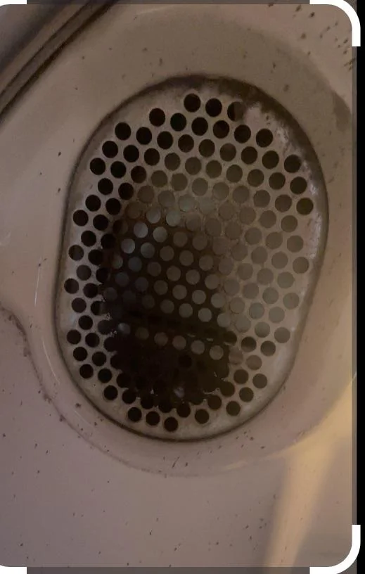 A close-up of a circular white drain cover with a grid of holes.